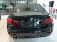 BMW 5 Series 520i 2017 - BMW 5 Series 520i 2017, màu đen, nhập khẩu chính hãng. Bán xe BMW chính hãng tại Gia Lai