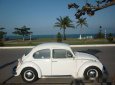 Volkswagen Beetle 1969 - Chính chủ bán xe Volkswagen Beetle 1500 sản xuất 1969, màu trắng, nhập khẩu