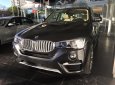 BMW X4 xDrive20i 2017 - Bán xe BMW X4 xDrive20i sản xuất 2017, màu xám (ghi), xe nhập, giá rẻ nhất, giao ngay