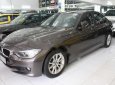BMW 3 Series 320i 2012 - Bán xe BMW 320i đời 2012, màu nâu, nhập khẩu chính hãng