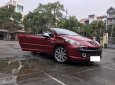 Peugeot 207   2008 - Bán xe Peugeot 207 đời 2008, màu đỏ, nhập khẩu chính hãng như mới