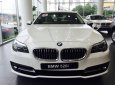 BMW 5 Series 520i 2017 - Bán xe BMW 5 Series 520i 2017, màu trắng, nhập khẩu chính hãng, giá rẻ nhất