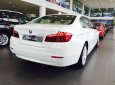 BMW 5 Series 520i 2017 - Bán xe BMW 5 Series 520i 2017, màu trắng, nhập khẩu chính hãng, giá rẻ nhất