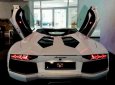 Lamborghini Aventado Roadster 2016 - Bán ô tô Lamborghini Aventado Roadster đời 2016, màu trắng, nhập khẩu chính hãng