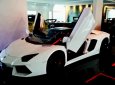 Lamborghini Aventado Roadster 2016 - Bán ô tô Lamborghini Aventado Roadster đời 2016, màu trắng, nhập khẩu chính hãng