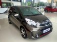 Kia Morning Si 2017 - Bán xe Kia Morning Si màu nâu tại Đồng Nai, giá 383tr, ngân hàng hỗ trợ đến 80%, lấy xe chỉ từ 120tr