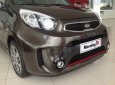 Kia Morning Si 2017 - Bán xe Kia Morning Si màu nâu tại Đồng Nai, giá 383tr, ngân hàng hỗ trợ đến 80%, lấy xe chỉ từ 120tr