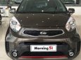 Kia Morning Si 2017 - Bán xe Kia Morning Si màu nâu tại Đồng Nai, giá 383tr, ngân hàng hỗ trợ đến 80%, lấy xe chỉ từ 120tr
