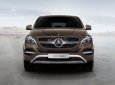 Mercedes-Benz GLE-Class  450 2016 - Bán Mercedes Coupe 450 2016, màu nâu, nhập khẩu chính hãng