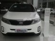 Kia Sorento 2017 - Bán ô tô Kia Sorento đời 2018, chỉ cần trả trước 300tr, hỗ trợ ngân hàng 90%, LH 0915253588 phục vụ tốt nhất