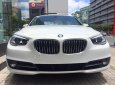 BMW 5 Series 528i GT 2016 - Bán BMW 528i GT 2016 giá rẻ, nhập khẩu chính hãng