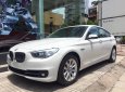 BMW 5 Series 528i GT 2016 - Bán BMW 528i GT 2016 giá rẻ, nhập khẩu chính hãng