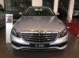 Mercedes-Benz E class E200 2017 - Cần bán Mercedes E200 2017, màu bạc