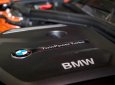 BMW 1 Series 118i 2017 - BMW 1 Series 118i 2017, màu cam. BMW Đà Nẵng bán xe BMW 118i nhập khẩu chính hãng, giá rẻ nhất tại Vinh