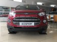 Ford EcoSport Trend MT 2017 - 0945514132 - Đại lý xe chính hãng bán Ford Ecosport đời 2017, hỗ trợ trả góp thủ tục nhanh gọn tại Điện Biên