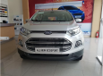 Ford EcoSport Trend MT 2017 - 0945514132 - Đại lý xe chính hãng bán Ford Ecosport đời 2017, hỗ trợ trả góp thủ tục nhanh gọn tại Điện Biên