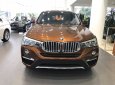 BMW X4 xDrive20i 2017 - Bán xe BMW X4 xDrive20i đời 2017, màu nâu, xe nhập, ưu đãi hấp dẫn, giao xe tại nhà