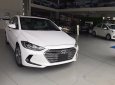 Hyundai Elantra 1.6MT 2017 - Bán Hyundai Elantra 1.6MT 2017, màu trắng