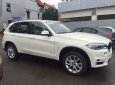 BMW X5 xDrive35i 2017 - Bán ô tô BMW X5 xDrive35i đời 2017, màu trắng, nhập khẩu nguyên chiếc, giảm giá tiền mặt, quà tặng hấp dẫn