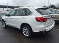 BMW X5 xDrive35i 2017 - Bán ô tô BMW X5 xDrive35i đời 2017, màu trắng, nhập khẩu nguyên chiếc, giảm giá tiền mặt, quà tặng hấp dẫn