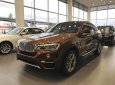 BMW X4 xDrive20i 2017 - Bán xe BMW X4 xDrive20i đời 2017, màu nâu, xe nhập, ưu đãi hấp dẫn, giao xe tại nhà