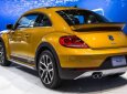 Volkswagen Beetle 2016 - Beetle Dune, cổ điển và hiện đại, đậm chất châu Âu