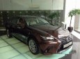 Lexus GS350 AT 2017 - Bán Lexus GS350 AT đời 2017, màu nâu, nhập khẩu nguyên chiếc