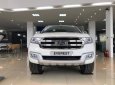 Ford Everest 2.2L 4x2 AT Trend 2017 - Cần bán xe Ford Everest 2.2L 4x2 AT Trend đời 2017, màu trắng, xe nhập, hỗ trợ trả góp đến 80% giá trị xe