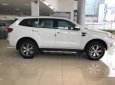 Ford Everest 2.2L 4x2 AT Trend 2017 - Cần bán xe Ford Everest 2.2L 4x2 AT Trend đời 2017, màu trắng, xe nhập, hỗ trợ trả góp đến 80% giá trị xe