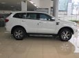 Ford Everest 2.2L 4x2 AT Trend 2017 - Cần bán xe Ford Everest 2.2L 4x2 AT Trend đời 2017, màu trắng, xe nhập, hỗ trợ trả góp đến 80% giá trị xe