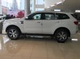 Ford Everest 2.2L 4x2 AT Trend 2017 - Cần bán xe Ford Everest 2.2L 4x2 AT Trend đời 2017, màu trắng, xe nhập, hỗ trợ trả góp đến 80% giá trị xe