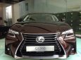 Lexus GS350 AT 2017 - Bán Lexus GS350 AT đời 2017, màu nâu, nhập khẩu nguyên chiếc