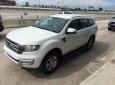 Ford Everest 2.2L 4x2 AT Trend 2017 - Cần bán xe Ford Everest 2.2L 4x2 AT Trend đời 2017, màu trắng, xe nhập, hỗ trợ trả góp đến 80% giá trị xe