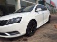 Geely Emgrand EC 718 2012 - Bán xe Geely Emgrand EC 718 đời 2012, màu trắng, nhập khẩu, 338 triệu