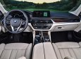 BMW 5 Series 520d 2017 - Bán ô tô BMW 5 Series 520d(G30) đời 2017 thế hệ thứ 7, màu nâu, xe nhập