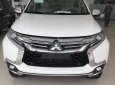 Mitsubishi Pajero Sport 2017 - Bán ô tô Mitsubishi Pajero Sport tại Đà Nẵng, màu trắng, xe nhập nguyên chiếc, giao xe nhanh, LH Quang 0905596067