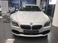 BMW 6 Series 640i Gran Coupe 2017 - Bán ô tô BMW 6 Series 640i Gran Coupe đời 2017, màu trắng, xe nhập