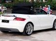 Audi TT Roadster 2008 - Salon bán Audi TT Roadster đời 2008, màu trắng, nhập khẩu nguyên chiếc, 880 triệu