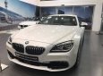 BMW 6 Series 640i Gran Coupe 2017 - Bán ô tô BMW 6 Series 640i Gran Coupe đời 2017, màu trắng, xe nhập