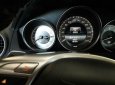 Mercedes-Benz C300 2013 - Cần bán lại xe Mercedes C300 đời 2013, màu bạc, nhập khẩu chính hãng chính chủ, giá 1000tr