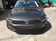 Volkswagen Passat GP 2016 - Đánh giá xe Volkswagen Passat GP, màu nâu, nhập khẩu Đức, tặng BHVC+ 3M. LH Hương: 0902.608.293