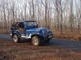 Jeep CJ 1980 - Cần bán Jeep CJ đời 1980, 149tr