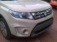 Suzuki Vitara 2017 - Bán ô tô Suzuki Vitara đời 2017