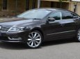 Volkswagen Passat CC 2013 - Volkswagen Passat CC - nhập khẩu chính hãng - Đại lý Volkswagen Saigon - 0933689294