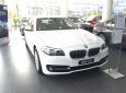 BMW 5 Series 520i 2016 - Bán ô tô BMW 5 Series 520i đời 2016, màu trắng, nhập khẩu