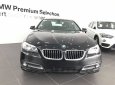 BMW 5 Series 520i 2016 - BMW 5 Series 520i 2016, màu đen, mới 100%. Cam kết giá tốt nhất, giao xe sớm nhất - LH 0901124188