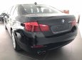 BMW 5 Series 520i 2016 - BMW 5 Series 520i 2016, màu đen, mới 100%. Cam kết giá tốt nhất, giao xe sớm nhất - LH 0901124188