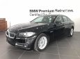 BMW 5 Series 520i 2016 - BMW 5 Series 520i 2016, màu đen, mới 100%. Cam kết giá tốt nhất, giao xe sớm nhất - LH 0901124188