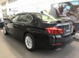 BMW 5 Series 520i 2016 - BMW Đà Nẵng bán xe BMW 520i 2016, màu đen, nhập khẩu chính hãng, mới 100%, giá rẻ nhất