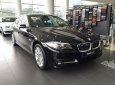 BMW 5 Series 520i 2016 - BMW Đà Nẵng bán xe BMW 5 Series 520i 2016 đời F10, màu đen, mới 100%. Cam kết giá rẻ nhất, giao sớm nhất LH 0901124188